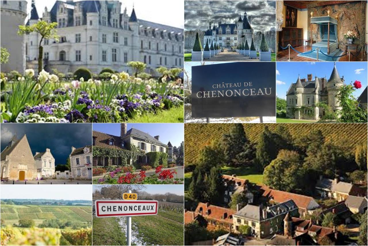 Le Roi Coq Bed & Breakfast Chenonceaux Exterior foto