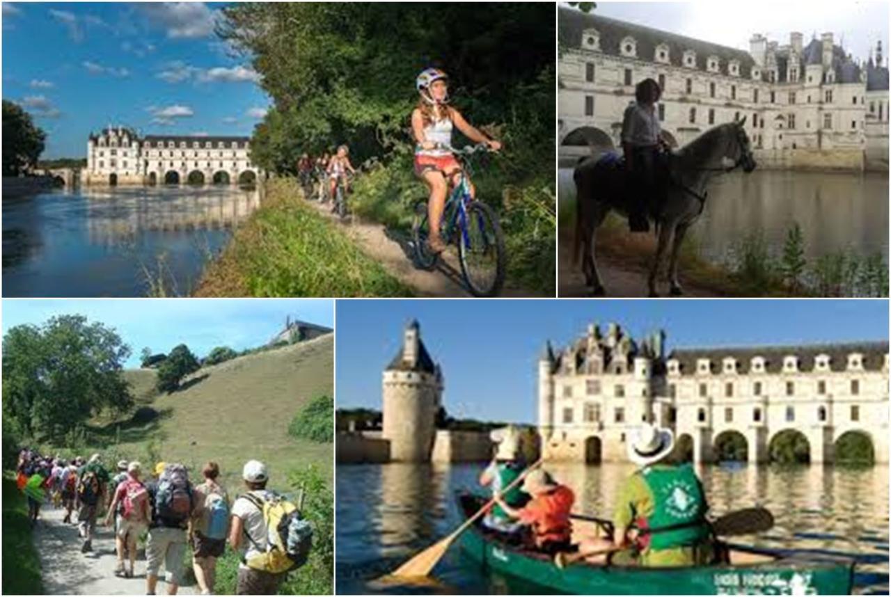 Le Roi Coq Bed & Breakfast Chenonceaux Exterior foto