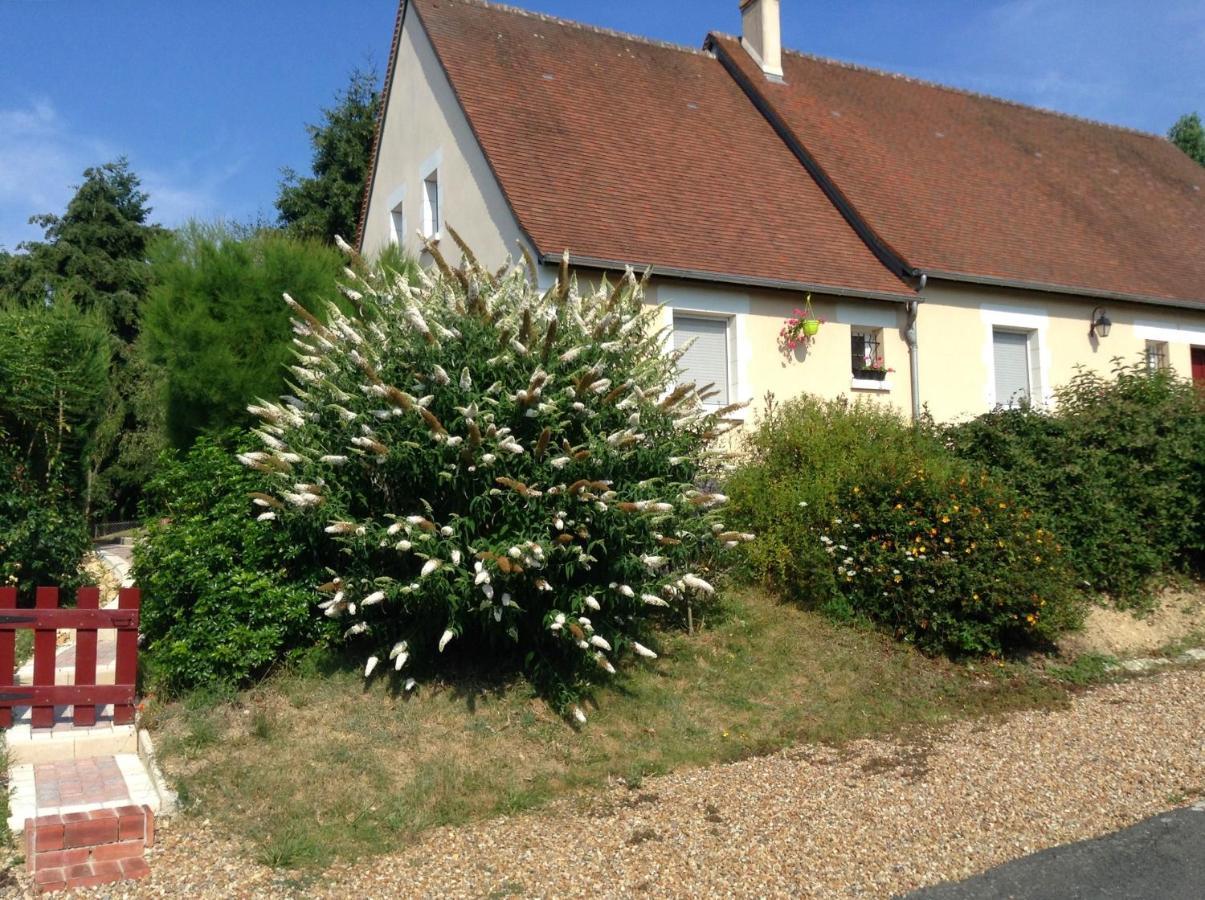 Le Roi Coq Bed & Breakfast Chenonceaux Exterior foto